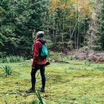 Les 7 plus belles forêts thérapeutiques près de Montréal — Shinrin