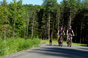 Guide du vélo de montagne