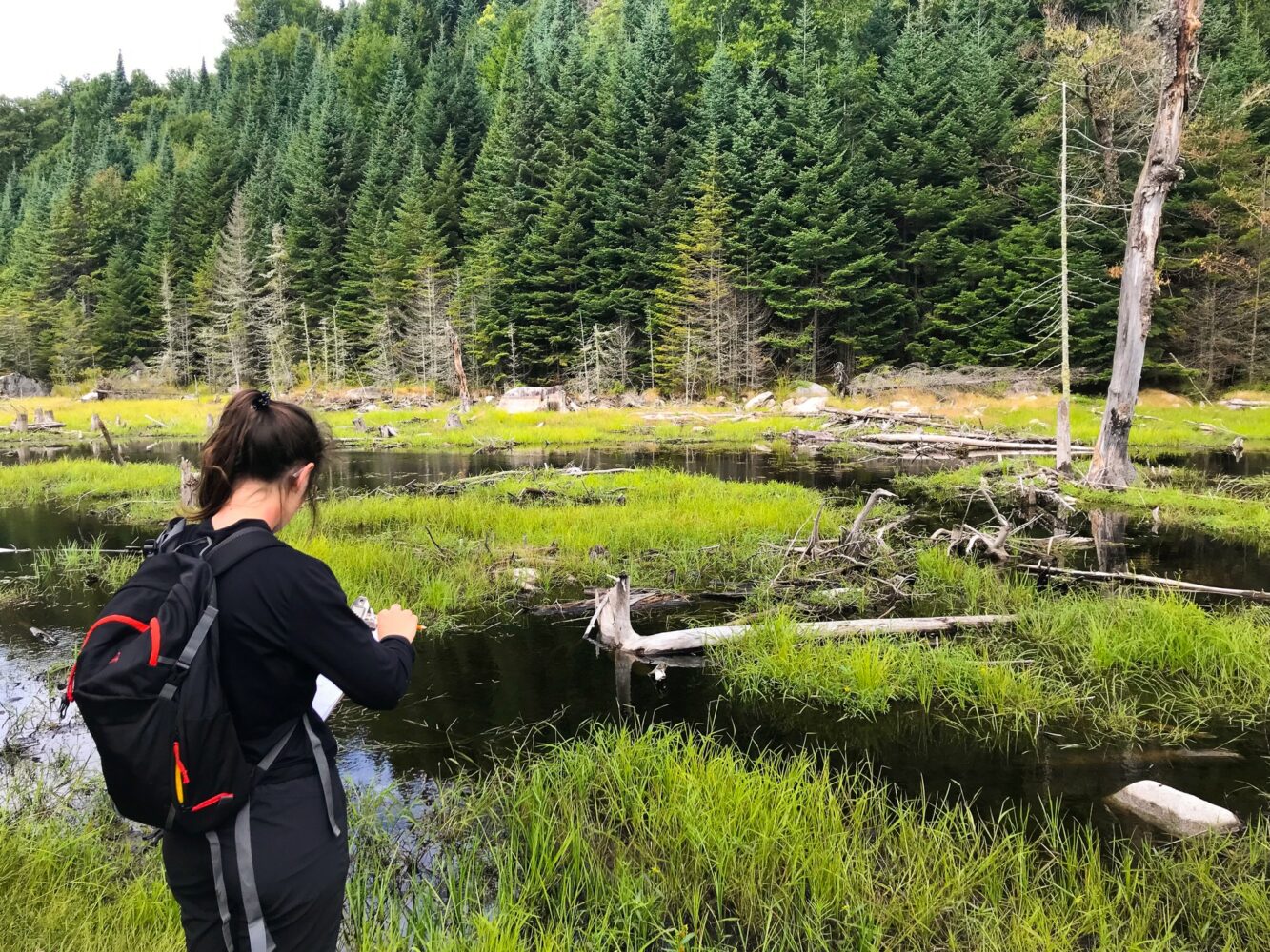Une jeune femme de dos prend des données sur la forêt et le marais.