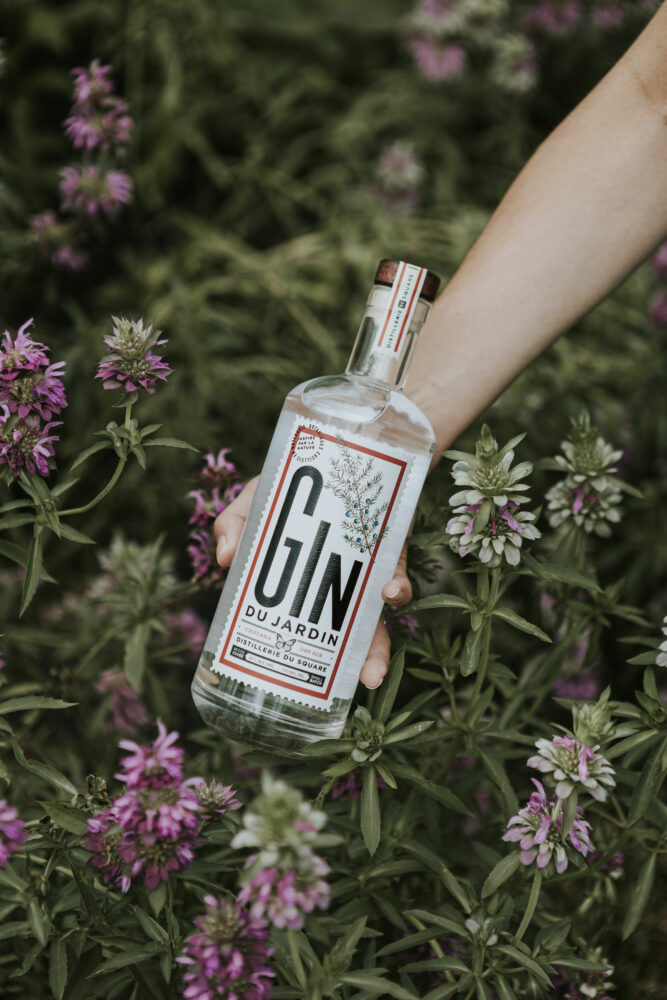 bouteille de gin devant des fleurs