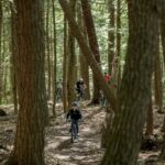 un cycliste fait du vélo de montagne en forêt