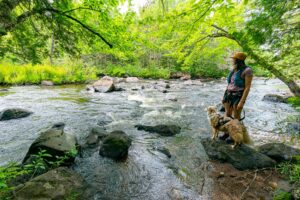 Une randonneuse avec son chien devant une rivière