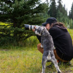 Homme accroupi prenant des photos en nature avec un appareil professionnel et un chien de couleur gris et blanc appuyant ces deux pattes avant sur la cuisse de l'homme.