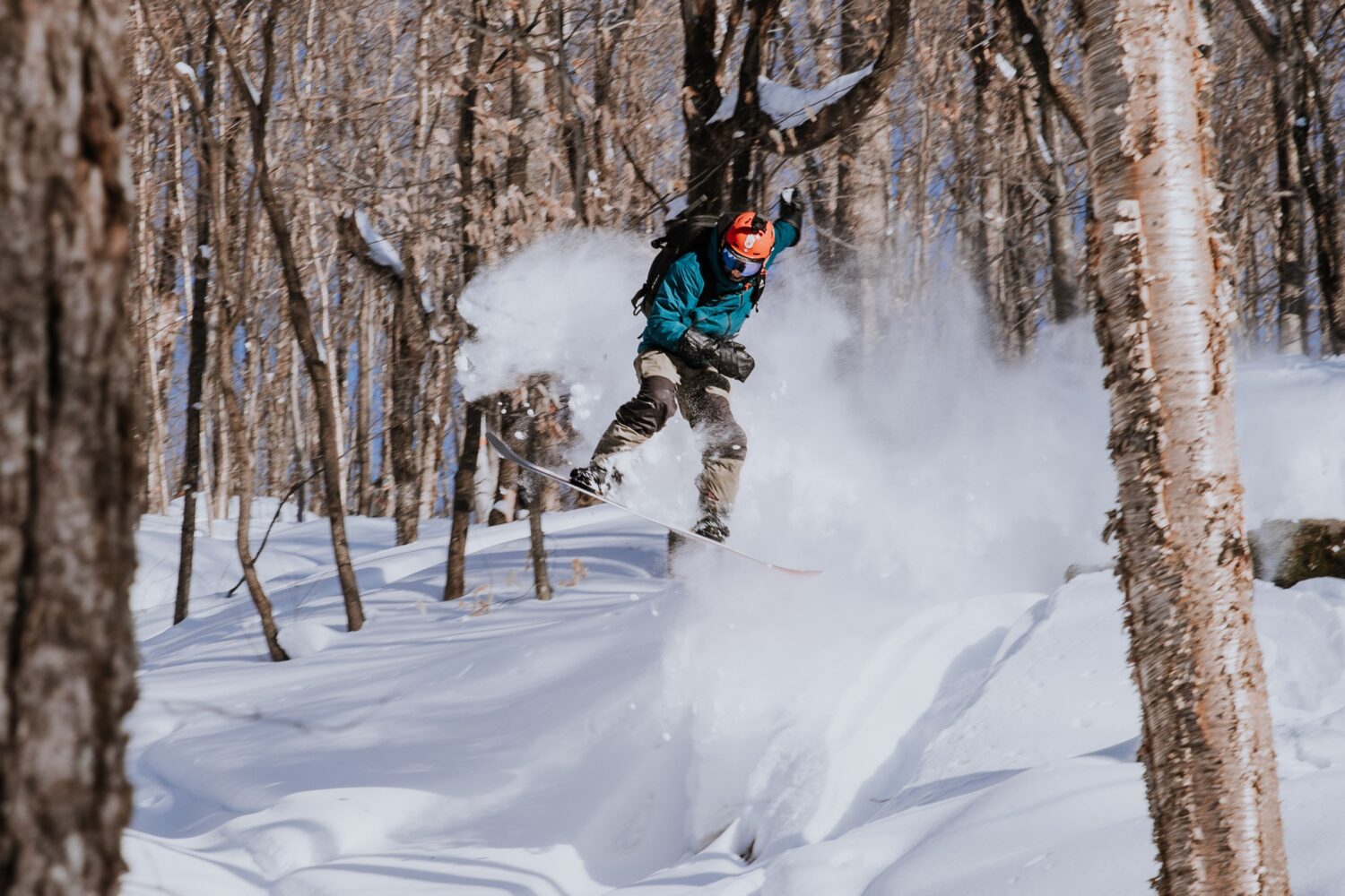 personne faisant un saut en planche à neige en forêt