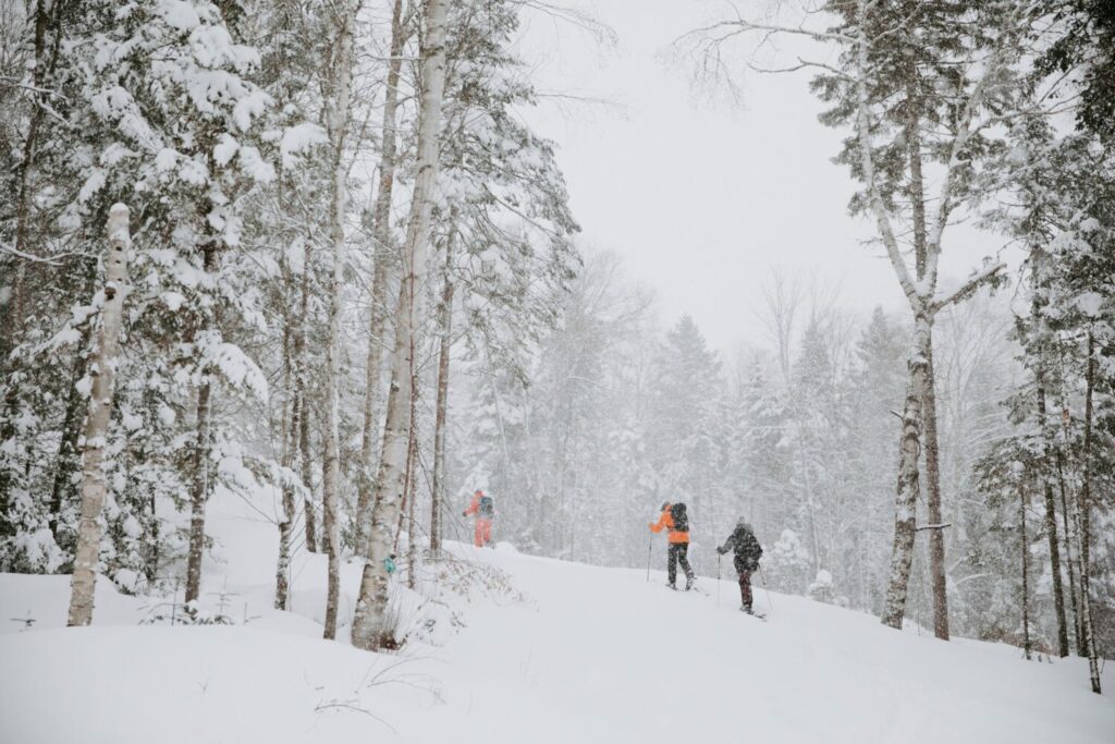 Deux skieurs de loin dans une forêt enneigée