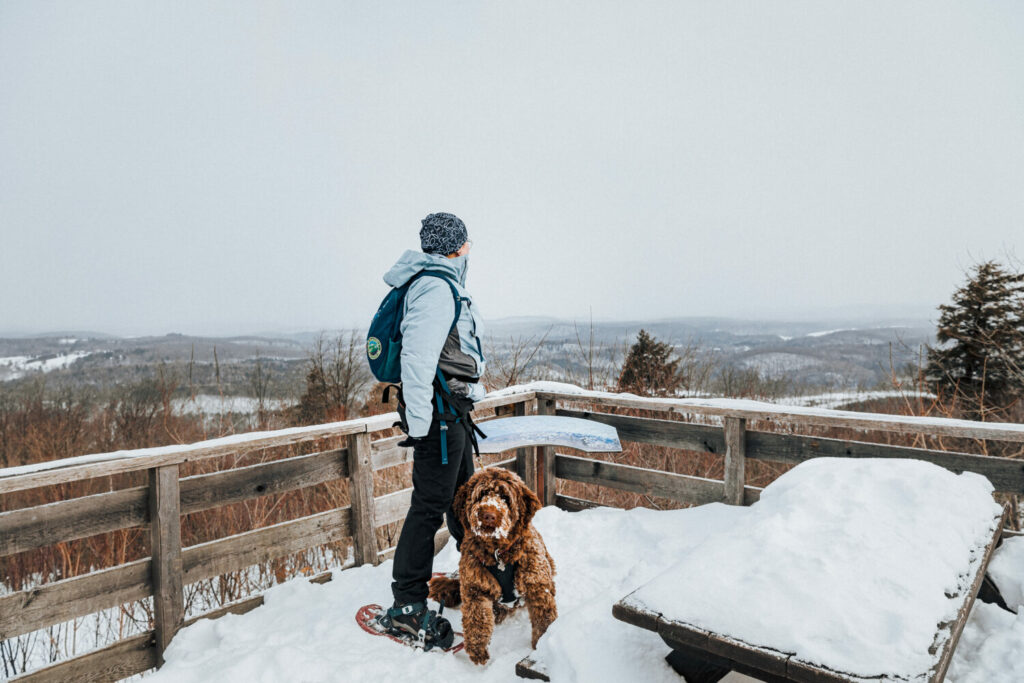 Un homme et son chien admire une vue d'un belvédère l'hiver