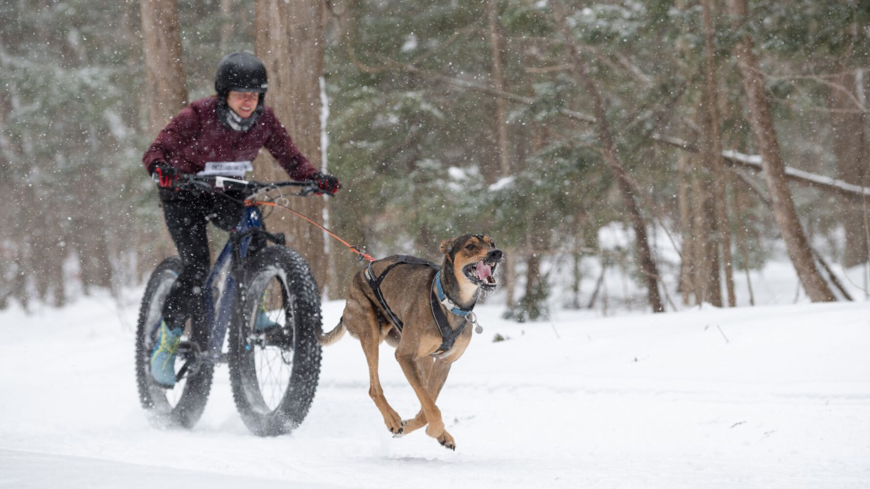 Bike cross