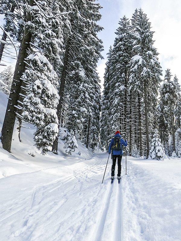 Ski de fond