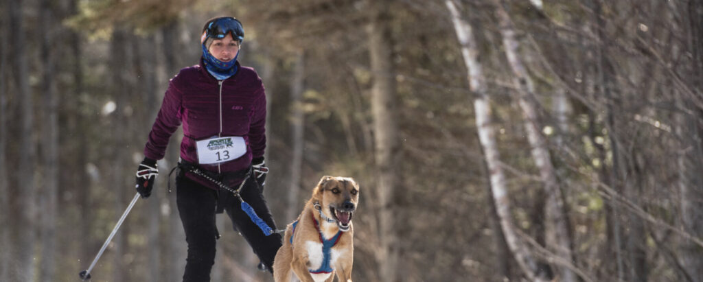 Skijoring