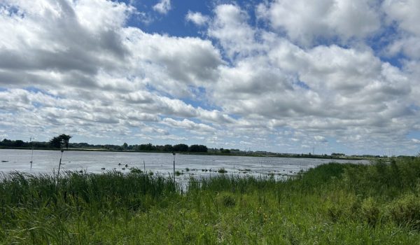 Le ruisseau de Feu à Terrebonne | Crédit photo : Kim Desormeaux