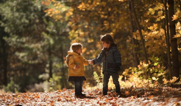 Coloris automnal de la CCN au parc de la Gatineau | Crédit photo : CCN-NCC