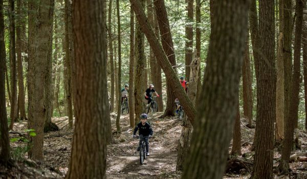 un cycliste fait du vélo de montagne en forêt