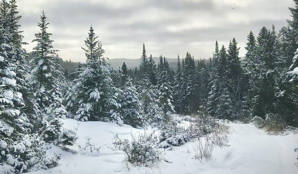 Photo Catherine Turgy | Sentier National